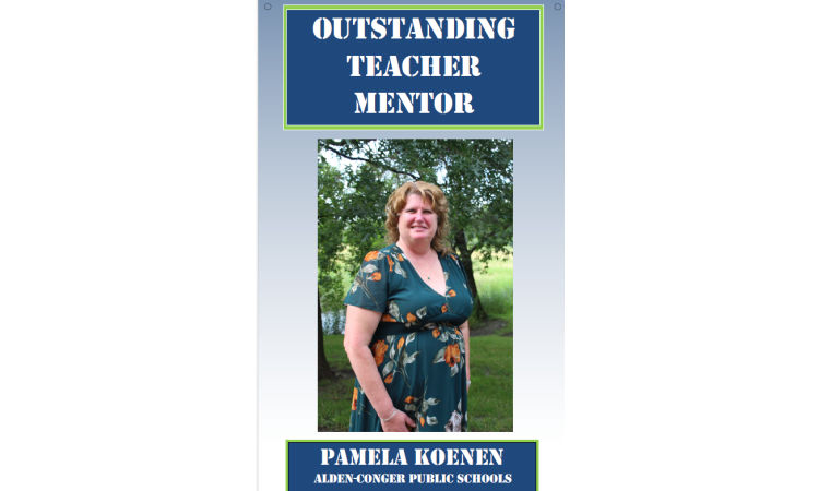 Outstanding Teacher Mentor